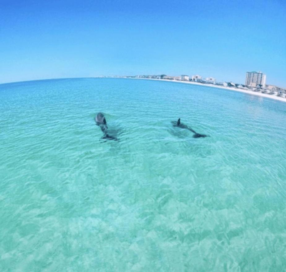 Slt #2043 - Stunning View! Free Beach Service! Destin Extérieur photo